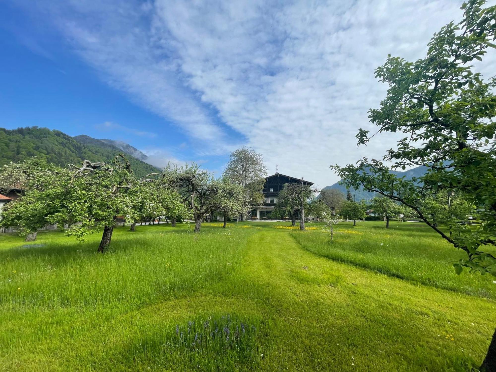 Alpenhof Landhotel Restaurant Oberaudorf Buitenkant foto