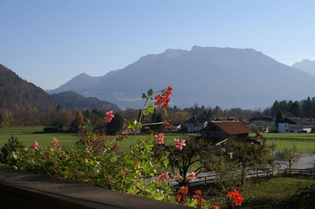 Alpenhof Landhotel Restaurant Oberaudorf Kamer foto