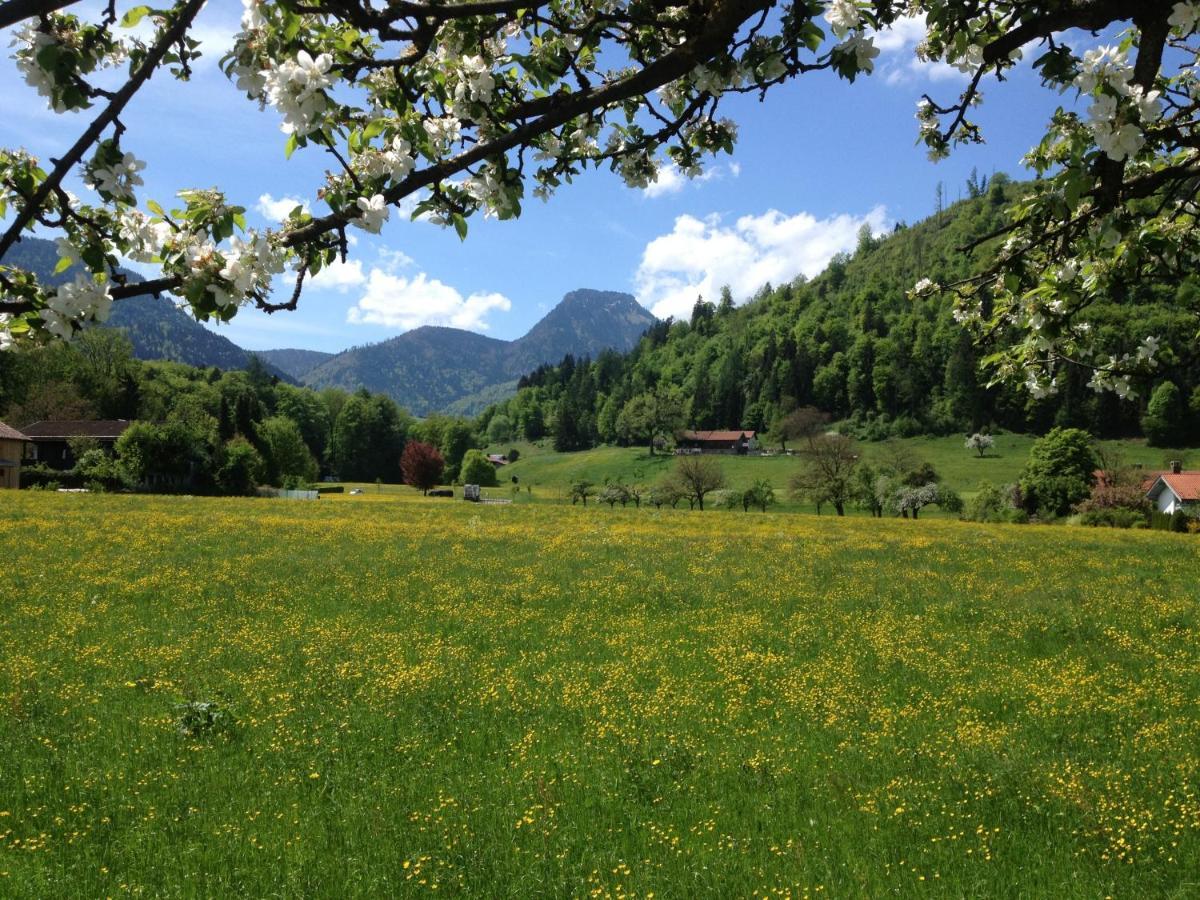 Alpenhof Landhotel Restaurant Oberaudorf Buitenkant foto